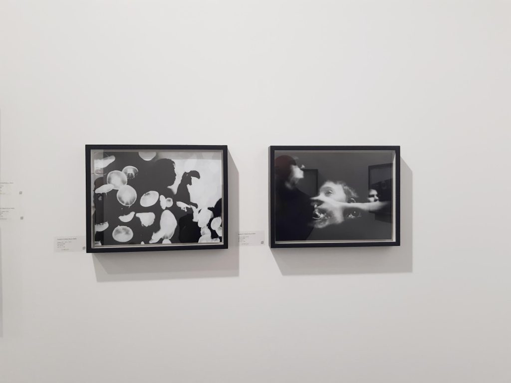 Sharon formichella parisi PARIS PHOTO FAIR 2021