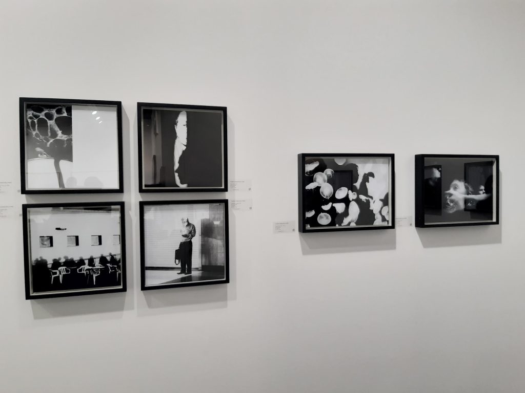 Sharon formichella parisi