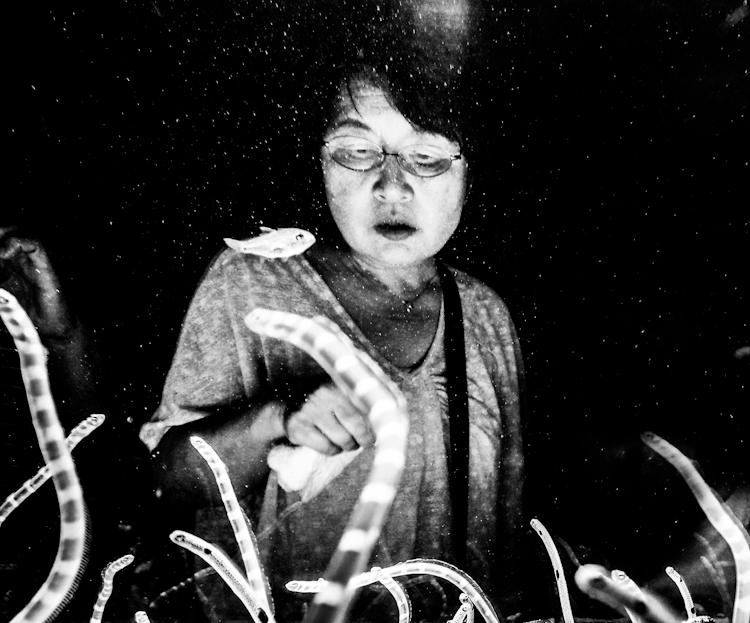 Sharon formichella parisi - Dreamed in Japan